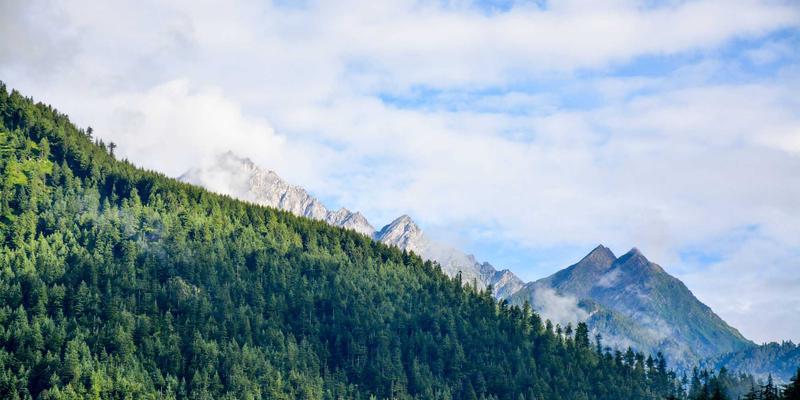 即席查询